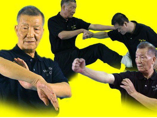 Diệp Vấn trở thành đại tông sư, cũng là nhờ cú đòn nhớ đời của một vị cao thủ-6