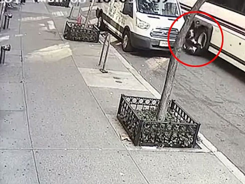 Tranh giành phần đất chôn người chết, 2 gia đình đuổi chém nhau kinh hoàng-3