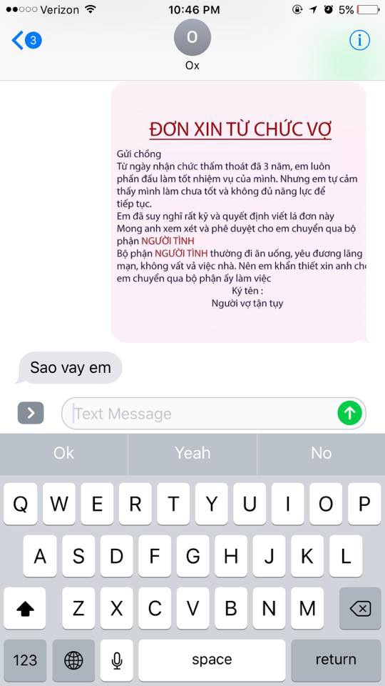 Chị em rộ trào lưu nhắn tin từ chức vợ để chuyển sang bộ phận người tình và đây là phản ứng của các anh chồng-3