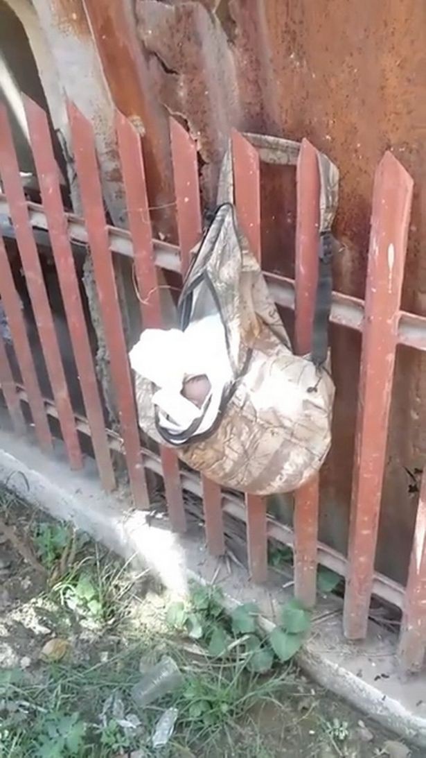 Đi thu gom rác, người lao công nghe tiếng động lạ phát ra từ chiếc balo treo ở hàng rào, mở ra mới tá hỏa vì cảnh tượng bên trong-2