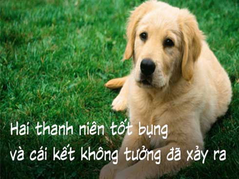 3 meme siêu củ chuối và những sự thật từ ngược đời đến cảm động đằng sau-7