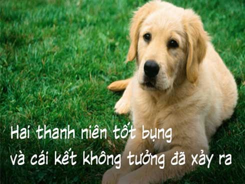 Hai thanh niên tốt bụng và cái kết không tưởng đã xảy ra