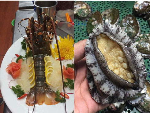 Tôm hùm ở Cam Ranh chỉ còn 100.000 đồng/kg sau bão-5