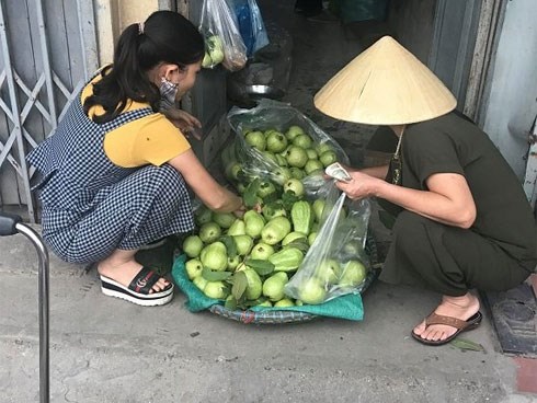 Bằng cách này, vợ chồng lão nông đều đặn thu 100 triệu đồng/tháng