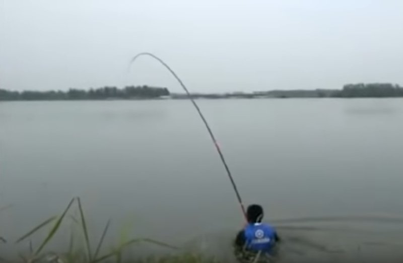 Câu được cá trắm đen khổng lồ, người đàn ông bị kéo xuống hồ-1