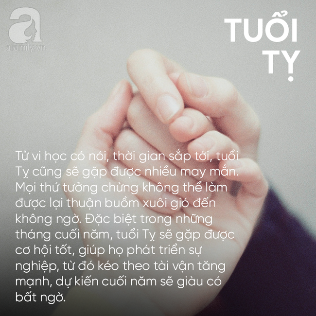 Chưa cần đợi đến năm 2019, 3 con giáp này đã thăng hoa rực rỡ, tình tiền kéo nhau đến cùng một lúc, song hỷ lâm môn đón Tết-3