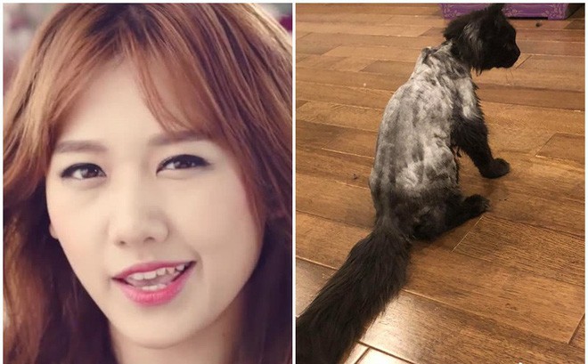 Những lần Trấn Thành công khai bêu xấu Hari Won-2