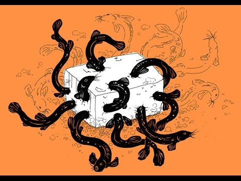 Tàu hủ địa ngục - món ăn có nguyên liệu và cách chế biến đơn giản nhưng đầy tai tiếng trong văn hóa ẩm thực Nhật Bản-2