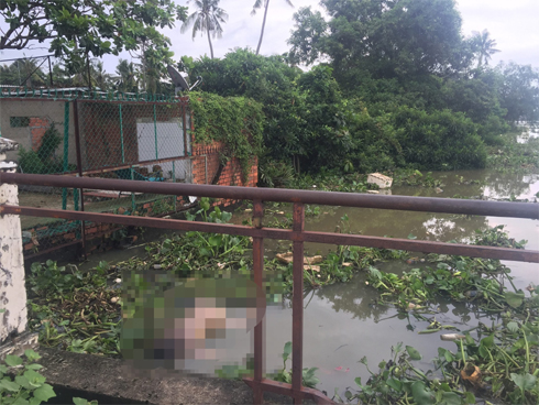 Đi câu cá, cần thủ tá hoả phát hiện thi thể nam giới cởi trần nổi trên sông Sài Gòn-1