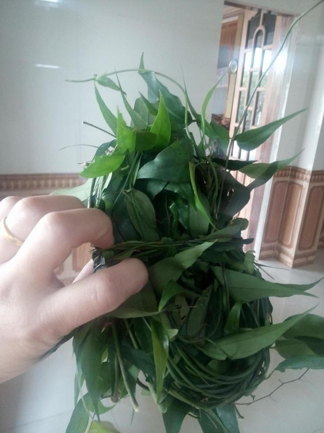 Mua được ít chè vằng, chưa kịp dùng đã bị mẹ chồng lấy cho con gái, nàng dâu bức xúc thì bị mắng thêm-2