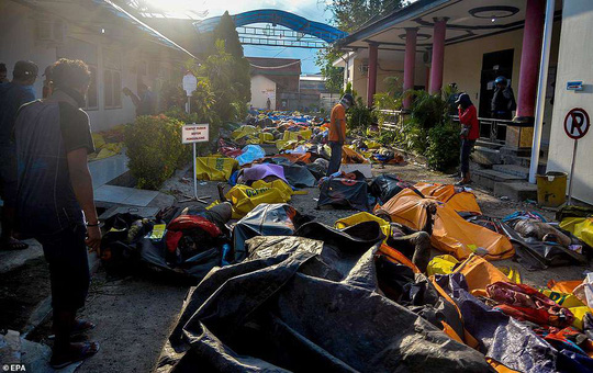 Thảm họa Sóng thần Indonesia: Lần tìm người thân trong túi đựng thi thể-2
