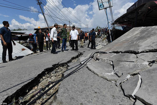 Thảm họa Sóng thần Indonesia: Lần tìm người thân trong túi đựng thi thể-9