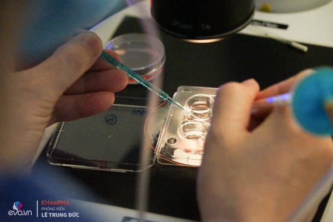 Cận cảnh quy trình đông lạnh trứng tại Việt Nam rất nhiều chị em hiện đại đang muốn thực hiện-12