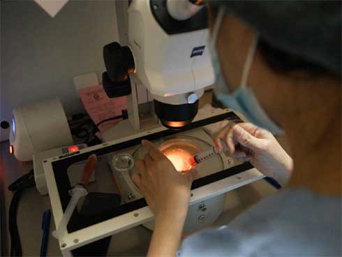 Cận cảnh quy trình đông lạnh trứng tại Việt Nam rất nhiều chị em hiện đại đang muốn thực hiện