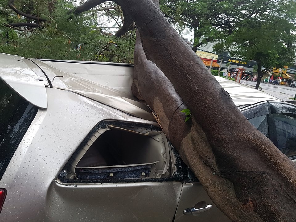 TP.HCM: Xế hộp bị cây xanh đè bẹp dúm trên đường phố, tài xế vội đạp cửa thoát ra ngoài-2