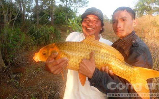 Bí ẩn xác máy bay dưới lòng Biển Hồ - Tây Nguyên-1