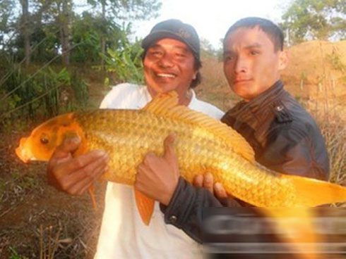 Những thợ săn” tiền ở vùng biển: Thu về hàng trăm triệu trong 1-2h-4