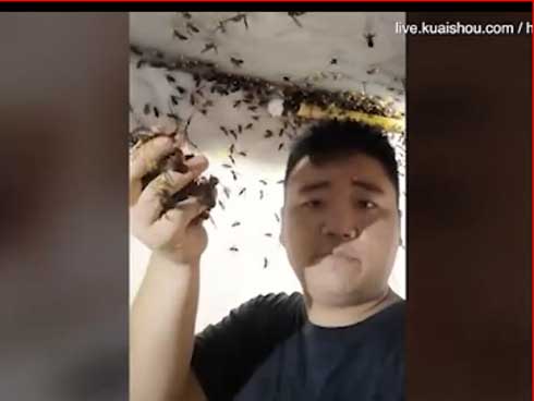 Khi chị Google lầy lội bắt đầu biết cách troll-1