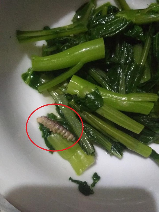 Lần đầu ra mắt nhà người yêu chỉ làm rau luộc, cô gái đứng hình khi cả nhà ăn gần hết bỗng thấy thứ này-2