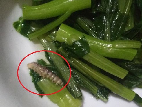 Lần đầu ra mắt nhà người yêu chỉ làm rau luộc, cô gái