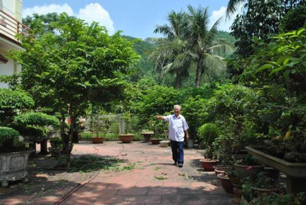 Cụ ông U80 trồng cây, nuôi cá thảnh thơi, vừa chơi vừa có tiền-1