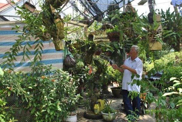 Cụ ông U80 trồng cây, nuôi cá thảnh thơi, vừa chơi vừa có tiền-4