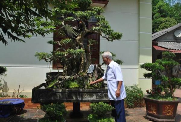 Cụ ông U80 trồng cây, nuôi cá thảnh thơi, vừa chơi vừa có tiền-7