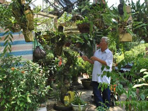 Nuôi loài cá đẹp mã trong ao, sau 8 tháng mà lời tới 3,5 tỷ đồng-3