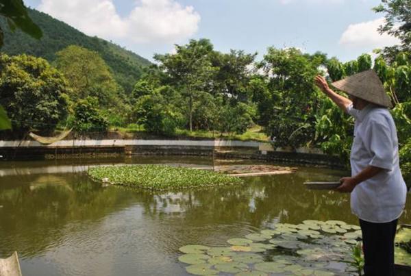 Chỉ là đi dự tiệc cưới thôi, nhiều sao Việt bị chỉ trích vì vô tâm lên đồ lấn lướt cả cô dâu - chú rể-1