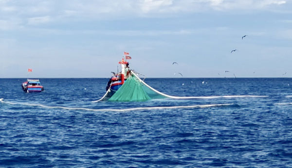 Những thợ săn” tiền ở vùng biển: Thu về hàng trăm triệu trong 1-2h-1