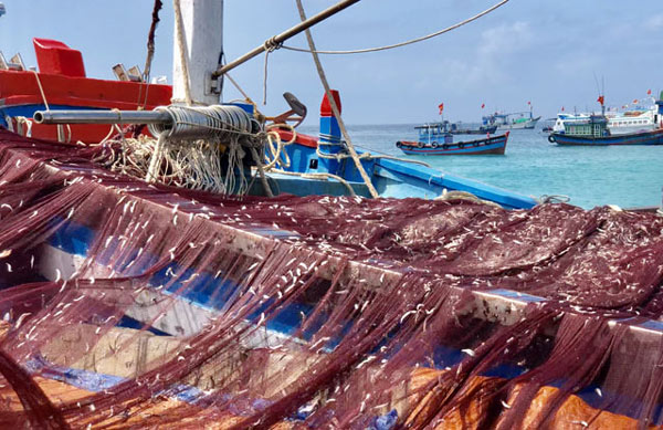 Những thợ săn” tiền ở vùng biển: Thu về hàng trăm triệu trong 1-2h-2