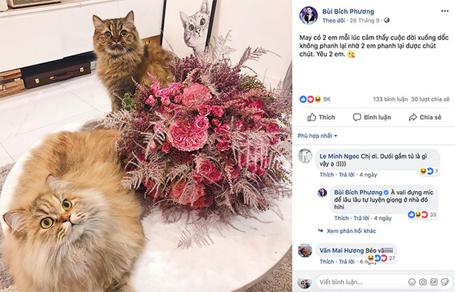 Miệng chối đây đẩy nhưng Bích Phương và Shark Khoa lại lộ bằng chứng hẹn hò, phải chăng Bùa yêu” đã phát huy tác dụng?-1