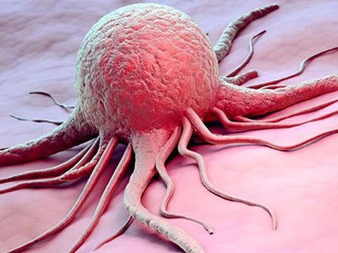 Giáo sư hàng đầu Việt Nam bày cách ăn