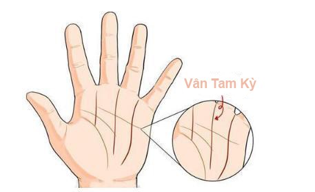 Ai là quý phu nhân hay nữ đại gia đều có tướng tay và vân tay như thế này, hãy thử mở lòng bàn tay xem, bạn sẽ thấy ngay-1