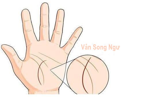 Ai là quý phu nhân hay nữ đại gia đều có tướng tay và vân tay như thế này, hãy thử mở lòng bàn tay xem, bạn sẽ thấy ngay-3