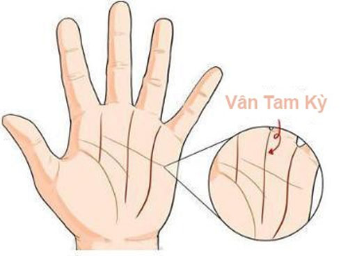 Từ tháng 10 đến tháng 12, không ai giàu qua 3 con giáp này, bất kể làm gì cũng gặp may mắn kéo theo tài vận dồi dào-4