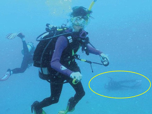 Nhận cuộc gọi nửa đêm từ người trông trẻ nói con bé không thức dậy, đôi vợ chồng cuống quýt quay về và chứng kiến cảnh tượng quá khủng khiếp-5