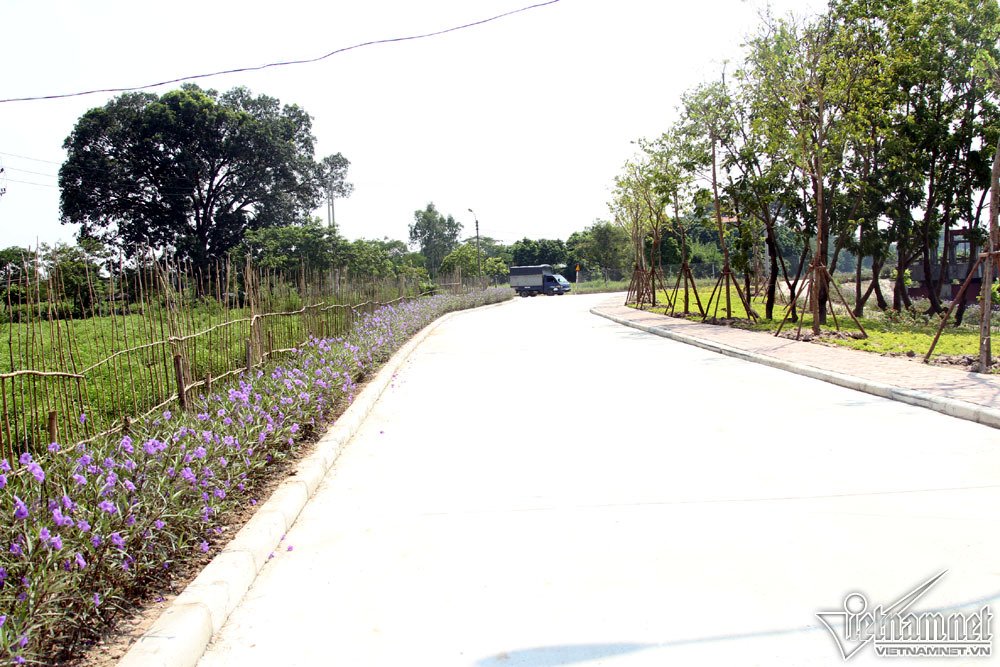 Quê nhà chuẩn bị lễ Quốc tang nguyên Tổng bí thư Đỗ Mười-9