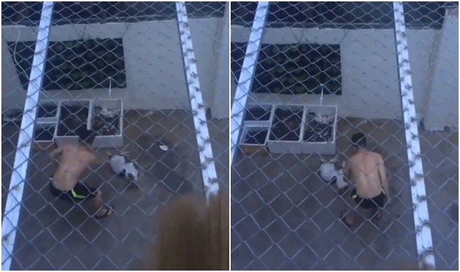 Phẫn nộ clip người đàn ông dùng roi vụt nhiều nhát vào chú chó nhỏ giữa sân nhà-1