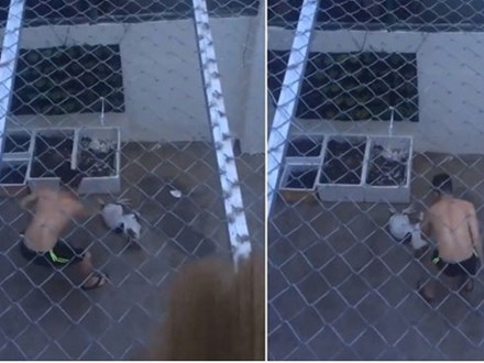 Phẫn nộ clip người đàn ông dùng roi vụt nhiều nhát vào chú chó nhỏ giữa sân nhà