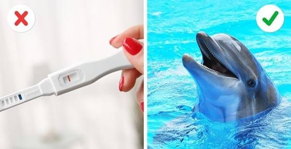 Những mẹo siêu kì lạ nếu đủ điên và dũng cảm bạn có thể thử-2