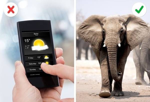 Những mẹo siêu kì lạ nếu đủ điên và dũng cảm bạn có thể thử-4