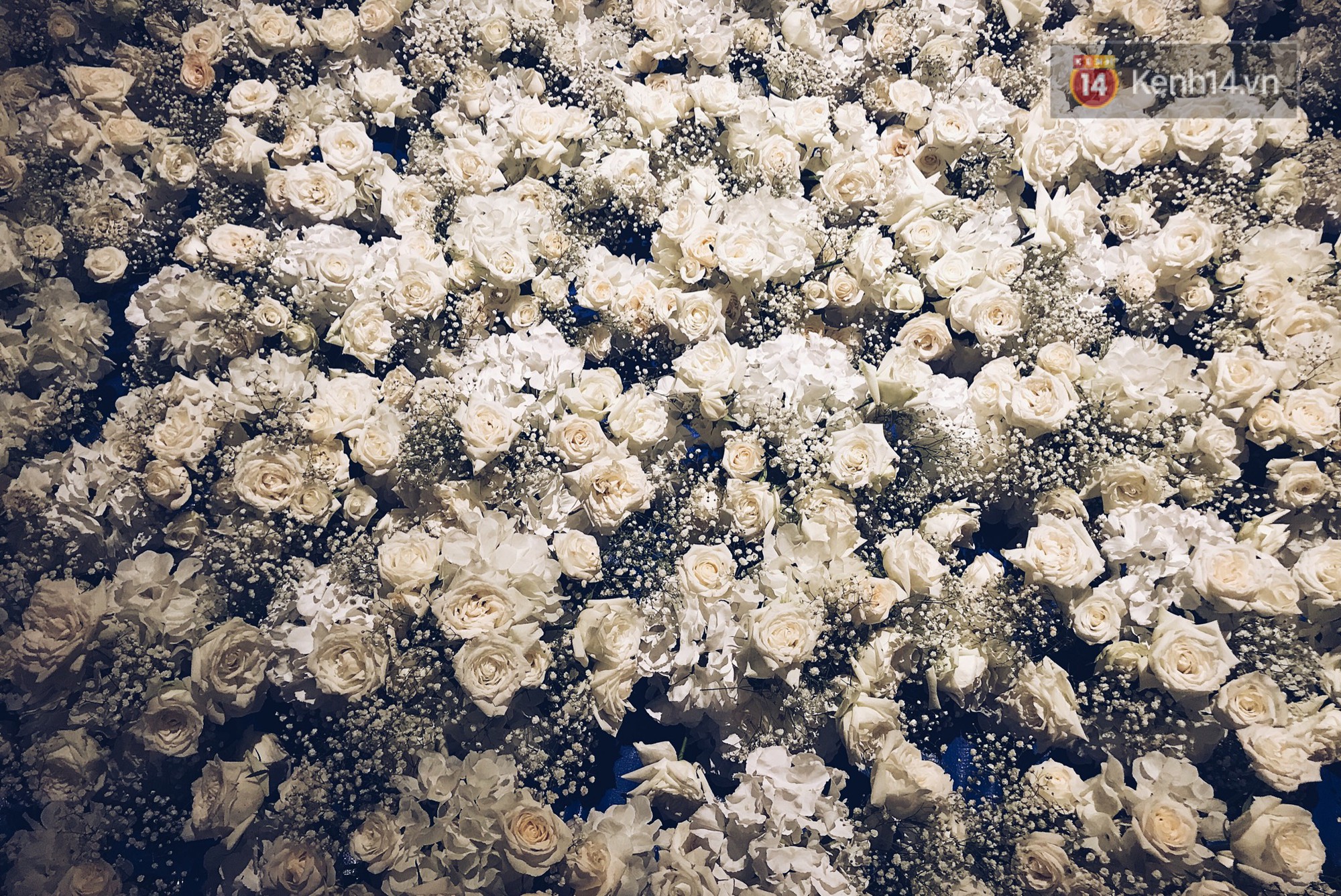 Hé lộ những hình ảnh đầu tiên về không gian tiệc cưới lộng lẫy của Lan Khuê - John Tuấn Nguyễn-4