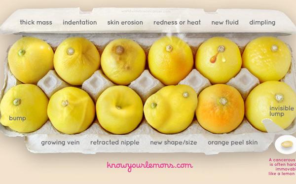 Nhờ vào bức ảnh 12 quả chanh, người phụ nữ bất ngờ phát hiện bị ung thư vú-2