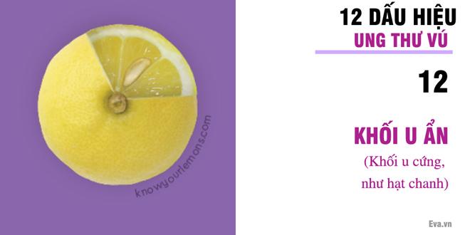 Nhờ vào bức ảnh 12 quả chanh, người phụ nữ bất ngờ phát hiện bị ung thư vú-13