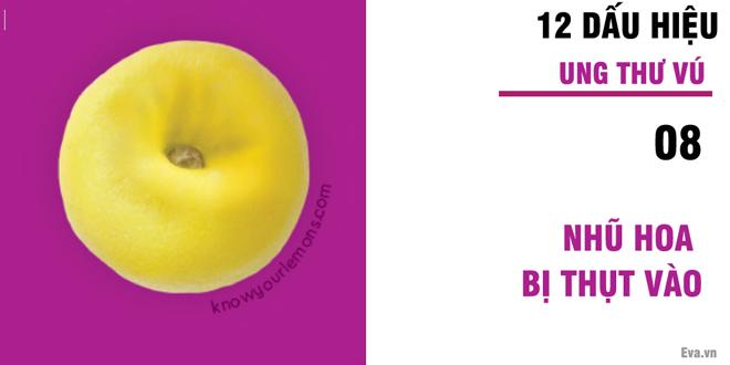 Nhờ vào bức ảnh 12 quả chanh, người phụ nữ bất ngờ phát hiện bị ung thư vú-9