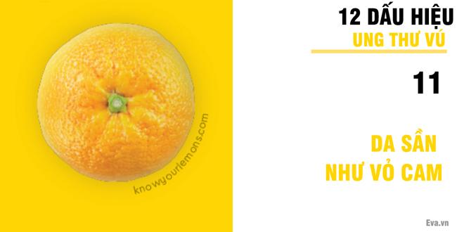 Nhờ vào bức ảnh 12 quả chanh, người phụ nữ bất ngờ phát hiện bị ung thư vú-12