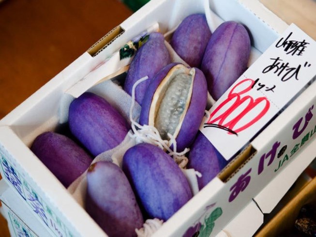 Nho Nhật siêu đắt 300.000 đồng/quả bán tại Việt Nam có gì đặc biệt?-1