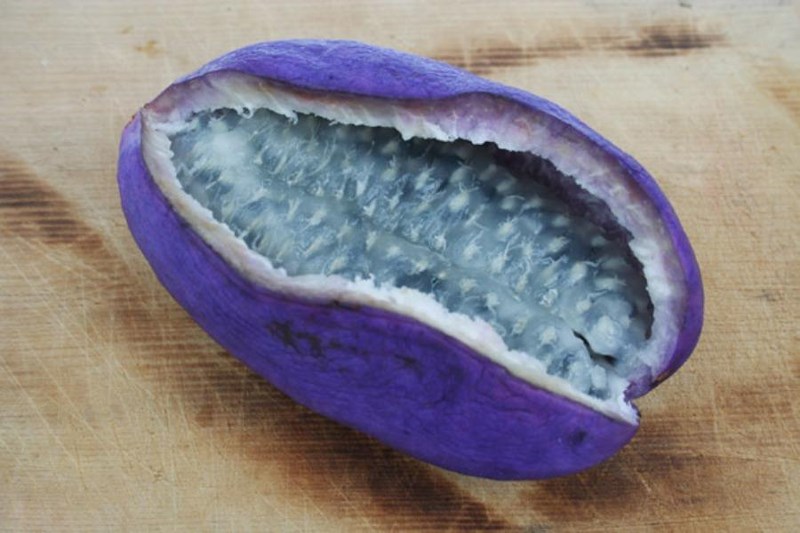 Nho Nhật siêu đắt 300.000 đồng/quả bán tại Việt Nam có gì đặc biệt?-3