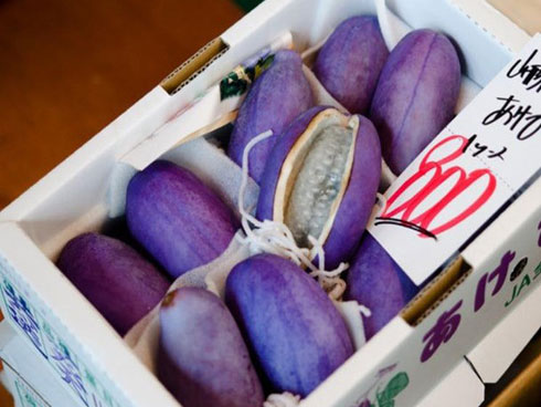 Xôn xao loại cà chua lạ có giá nửa triệu 1 kg-2